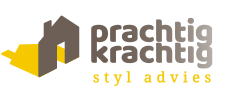 Prachtig-Krachtig-Styl-advies